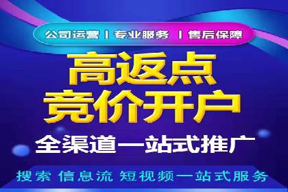 某品牌SEM广告投放效果全解析